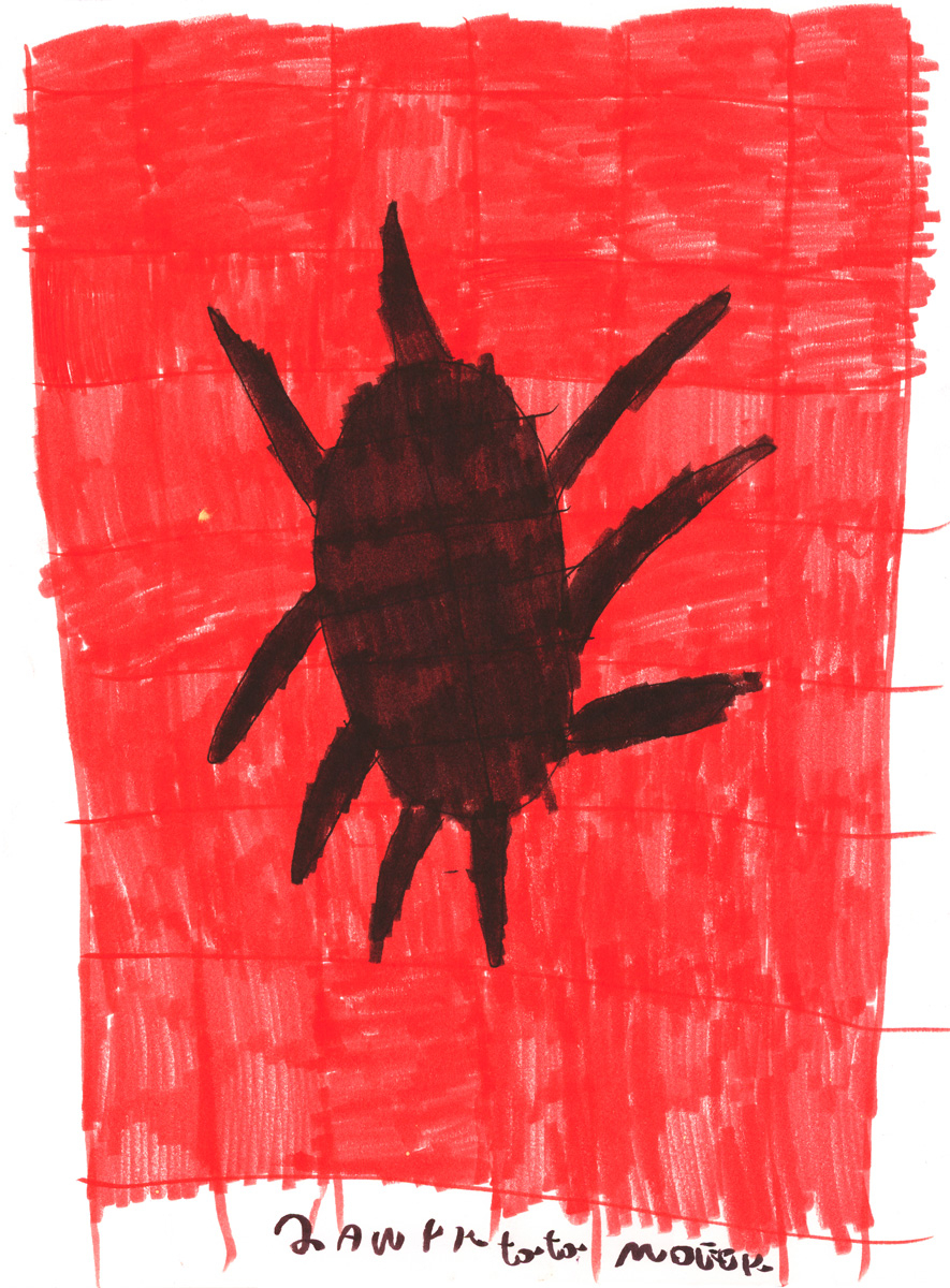 Na białym arkuszu czerwone grube pionowe i poziome kreski tworzą kafelkowe tło. Na środku czarnymi, gęstymi kreskami narysowany jest wielki, dziewięcionożny, włochaty pająk. Regularność i grubość nakładających się kresek stwarza wrażenie przestrzenności