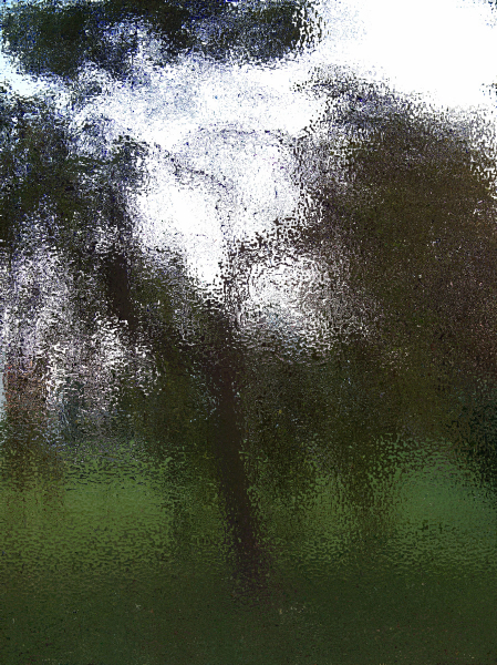 Fotografia przedstawia pojedyncze drzewo na łące widziane przez mokrą szybę. Jego kształt jest roztopiony, rozbity na mniejsze, wiszące w powietrzu elementy: liście, gałęzie i pionowy grubszy pień. Zdjęcie oddaje atmosferę nostalgii i osamotnienia