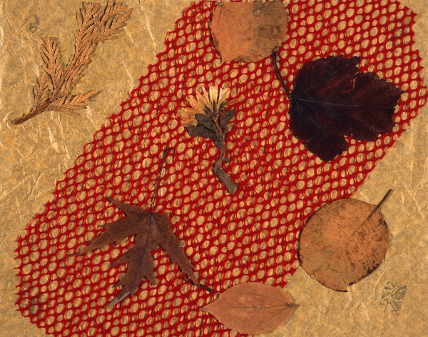 Na delikatną bibułę w kolorze jasnego drewna, przyklejona jest biegnąca ukośnie czerwona, plastikowa siateczka. Do bibuły przyklejone są także wysuszone liście w odcieniach brązu otaczając umieszczony centralnie, wysuszony, nieduży, polny kwiatek